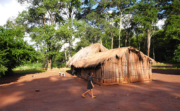 TI Pirakuá, região Guarani Kaiowá com significativa área de floresta conservada. Foto: ©Robert Miller/Projeto GATI. 